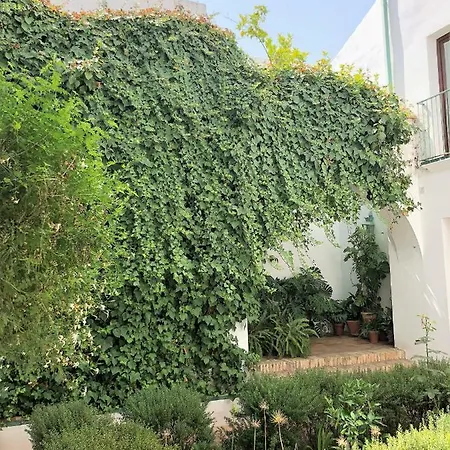 Apartman El 5 De La Hoguera *