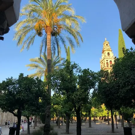 El 5 De La Hoguera Apartman Córdoba