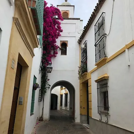Apartamento El 5 De La Hoguera *