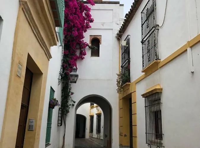 아파트 El 5 De La Hoguera *