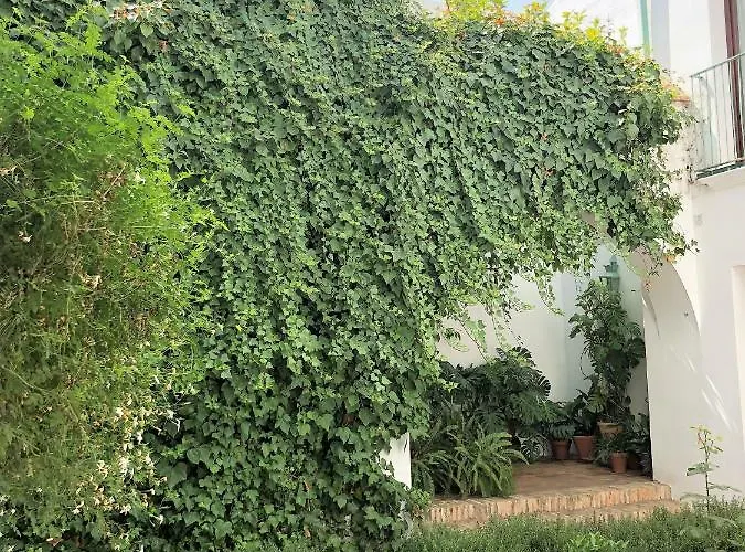 아파트 El 5 De La Hoguera *